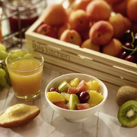 Ibis Gare Hotell Grenoble